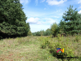 Działka budowlana w Brzozowej z warunkami zabudowy na 15 domów!!